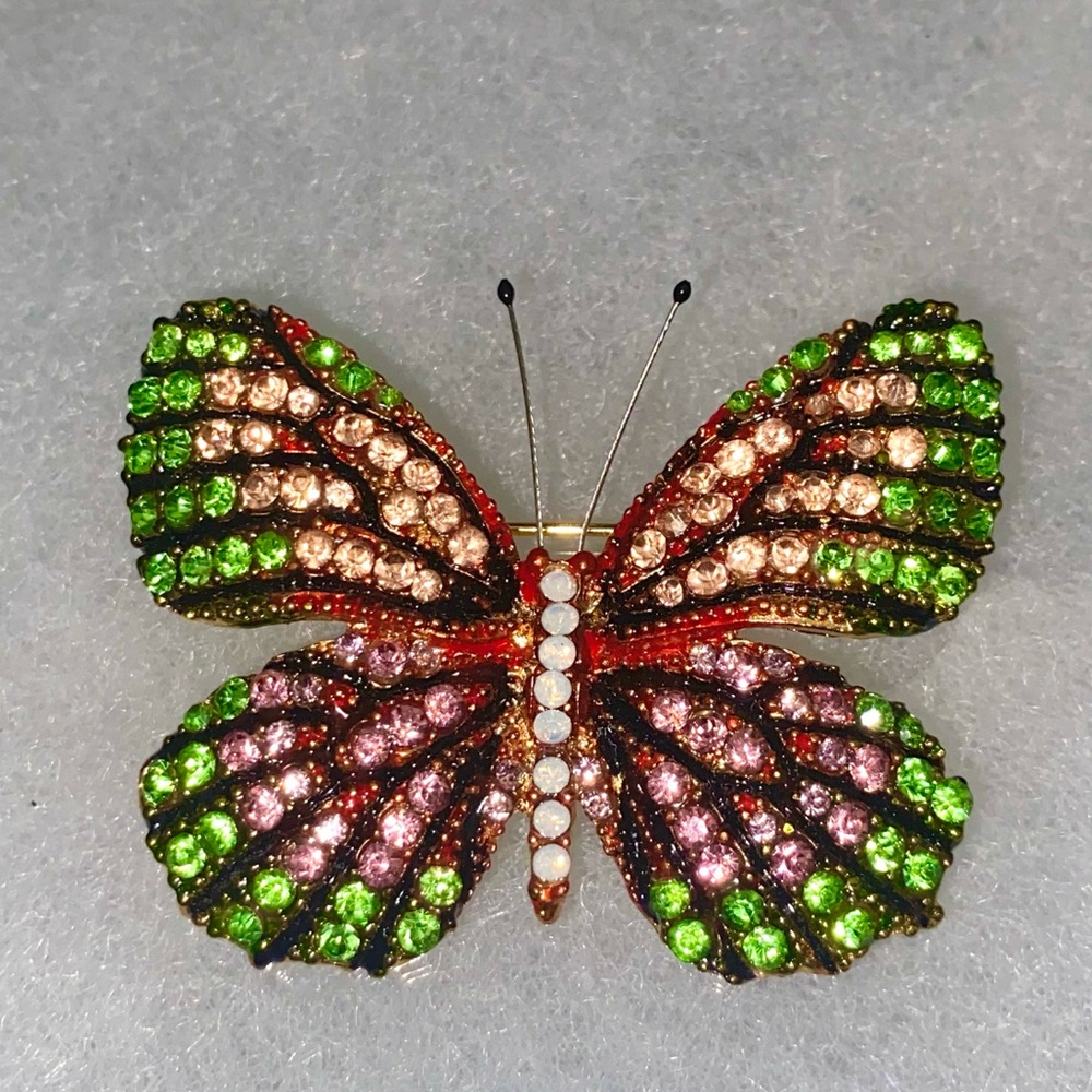 Vibrant Butterfly Pin🦋